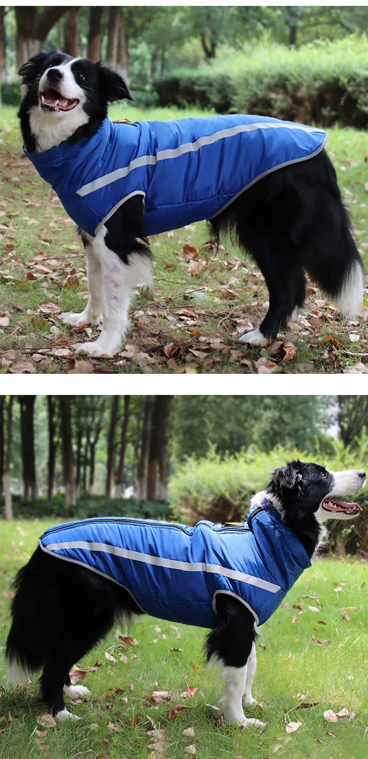 Pet clothing for autumn and winter reflective and warm jackets