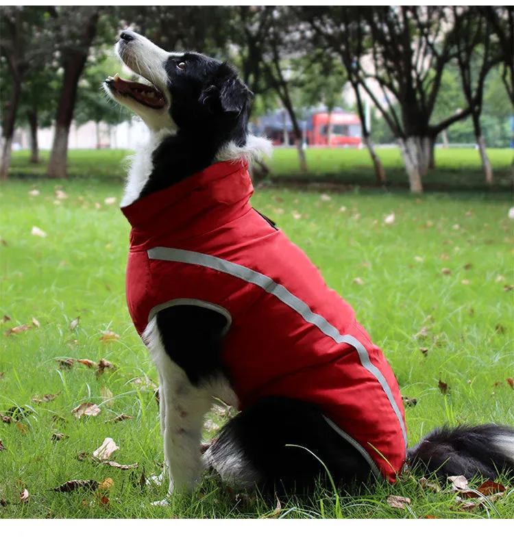 Pet clothing for autumn and winter reflective and warm jackets